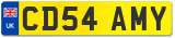 CD54 AMY