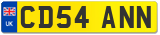 CD54 ANN