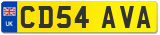 CD54 AVA