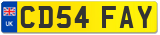 CD54 FAY