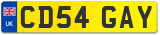 CD54 GAY