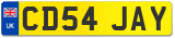 CD54 JAY