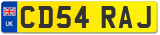 CD54 RAJ