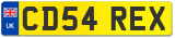 CD54 REX