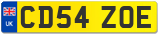 CD54 ZOE