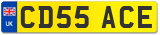 CD55 ACE