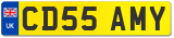 CD55 AMY