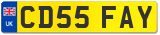 CD55 FAY