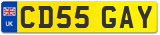 CD55 GAY