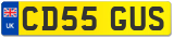 CD55 GUS