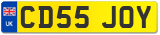 CD55 JOY