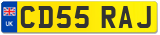 CD55 RAJ