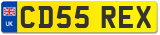 CD55 REX