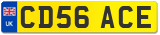 CD56 ACE