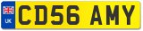 CD56 AMY