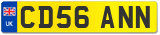 CD56 ANN