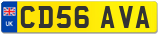 CD56 AVA