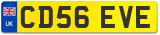 CD56 EVE