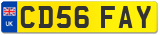 CD56 FAY