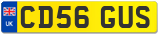 CD56 GUS