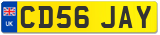 CD56 JAY