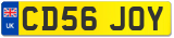 CD56 JOY