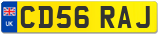 CD56 RAJ