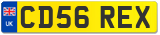 CD56 REX