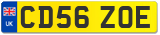 CD56 ZOE