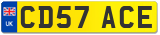 CD57 ACE