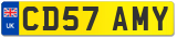 CD57 AMY