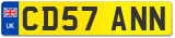 CD57 ANN