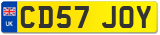 CD57 JOY