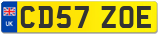 CD57 ZOE