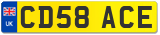 CD58 ACE