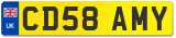 CD58 AMY