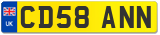 CD58 ANN