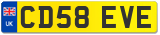 CD58 EVE