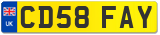 CD58 FAY