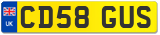 CD58 GUS