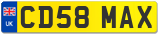 CD58 MAX