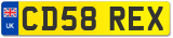 CD58 REX