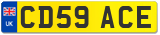 CD59 ACE