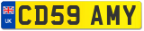 CD59 AMY