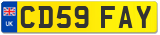 CD59 FAY