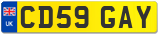 CD59 GAY