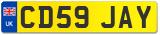 CD59 JAY