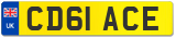 CD61 ACE