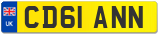 CD61 ANN