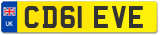 CD61 EVE